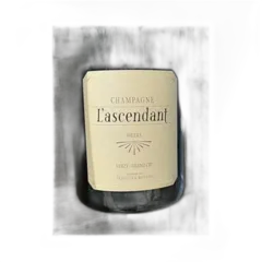 photo Mouzon-Leroux Champagne Extra-Brut Grand Cru Verzy l’Ascendant