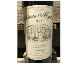 vue du vin Château Meylet Saint Emilion