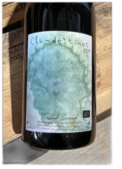 vue du vin Imanol Garay Vin Rouge d’Espagne Clandestinus 2021
