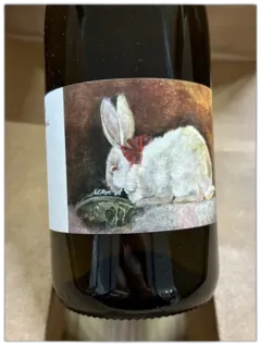 photo Lapin Blanc