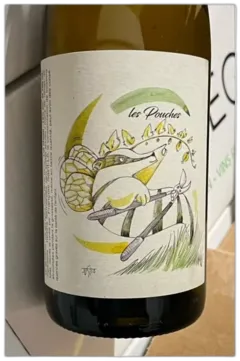 image du vin Vin de France Blanc les Pouches Amphore