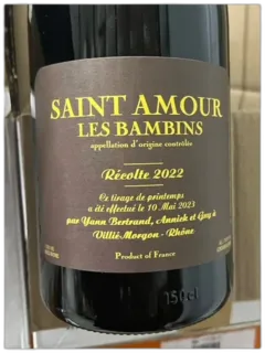 photo Domaine les Bertrand Saint Amour les Bambins Magnum