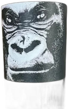 aperçu du vin Mena Vin de France Indomptable Magnum