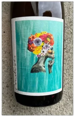 vue du vin Melsolo Vin de France Blanc Burlesque