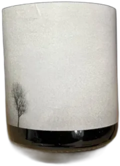 vue du vin les Chants Jumeaux Vin de France Chenin Liquoreux