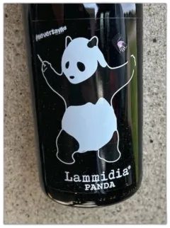 vue du vin Lammidia Vin d’Italie Panda