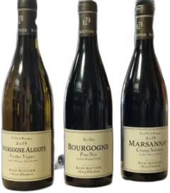 photo Bourgogne Pinot Noir