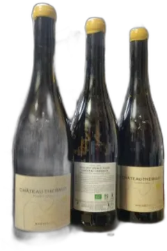 photo Famille Lieubeau Muscadet de Sèvre et Maine Château-Thebaud