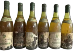 photo Chassagne Montrachet, Domaine Mommessin, 1972