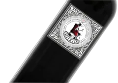 vue du vin les Avertis Château Renard Mondésir