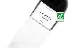 photo Delphis de la Dauphine