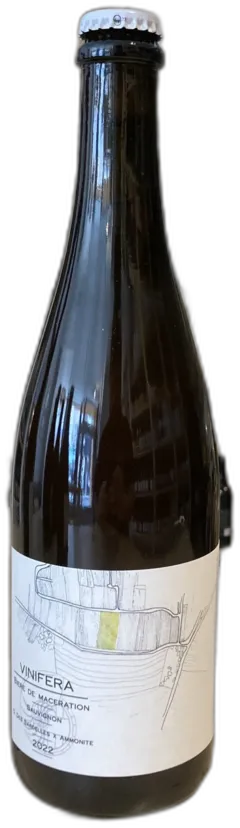 illustration du vin Cuvée Vinifera Sauvignon