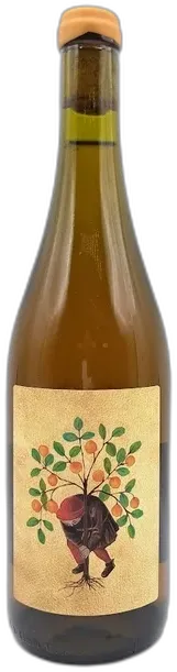 image du vin Vin de France Fanny Sabre l’Oranger de Pierre 2023