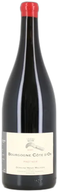 photo Magnum Vin Rouge Bourgogne Côte d’or 2021