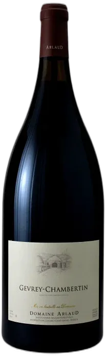 photo Gevrey-Chambertin 2023 Magnum