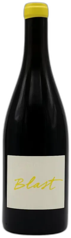 vue du vin Blast Château Lestignac