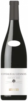 aperçu du vin Coteaux du Giennois Rouge 2023 Clément & Florian Berthier