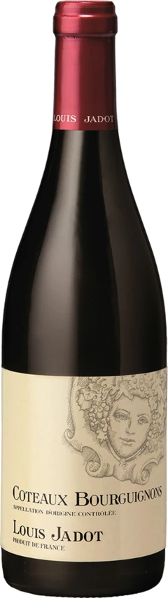 photo Coteaux Bourguignons Aoc Rouge Louis Jadot 2021