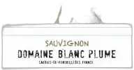 photo Blanc Plume Sauvignon