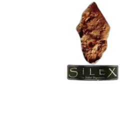 photo Silex 2012 Didier Dagueneau