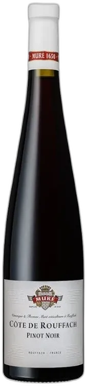 photo Pinot Noir Côtes de Rouffach