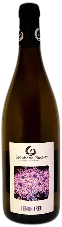 photo Petits Cailloux Rouge