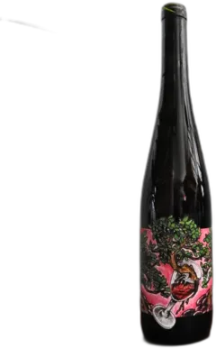 photo Symbiose 2022 Domaine Muller Koeberlé