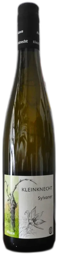 photo Sylvaner 2021 Domaine Kleinknecht