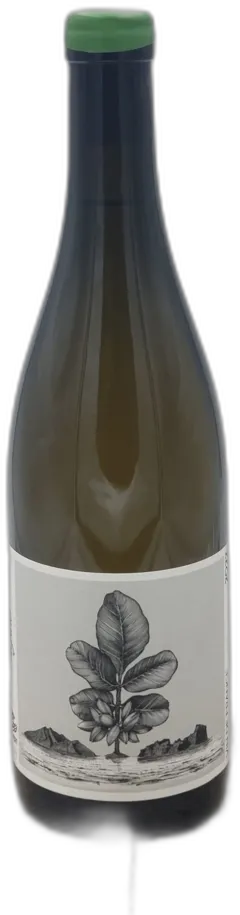 photo du vin Vin de France "Aigine" Domaine de l’or Vert