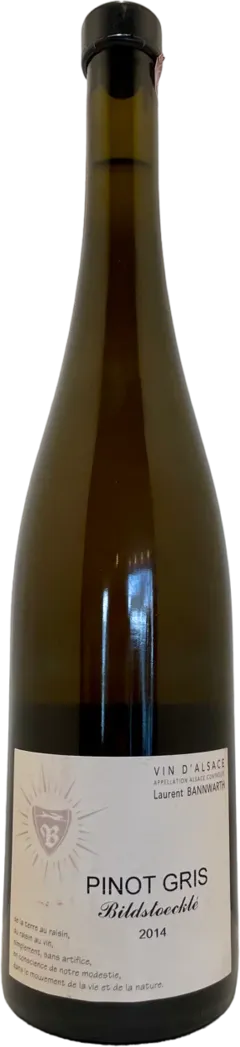 vue du vin Alsace Pinot Gris "Bildstoecklé