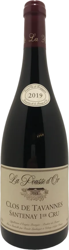 photo Santenay 1er Cru 
