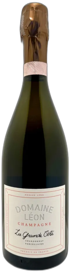 photo Champagne Blanc de Blancs 