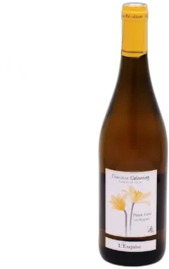 image du vin Igp Val de Loire Pinot Gris Domaine Delaunay Vin Blanc