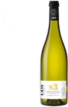 vue du vin Igp Côtes de Gascogne Uby n°3 Vin Blanc