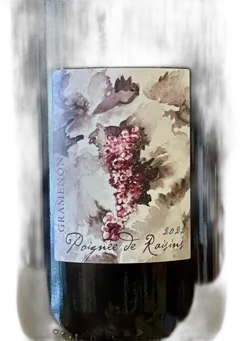 photo du vin Poignée de Raisin