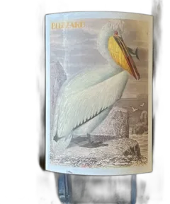 photo du vin Blizzard