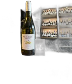 photo Aop Touraine Domaine Minchin Absolument Sauvignon