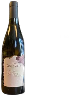 photos du vin Aop Quincy Philippe Portier la Quincyte