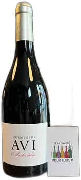 vue du vin Vin de France Christophe Avi l’Avi des Drôles