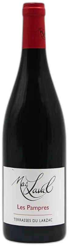 photo du vin les Pampres