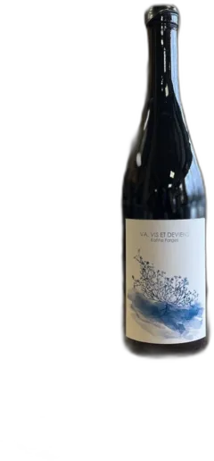 photo du vin va, Vis et Deviens Karine Farges 2023