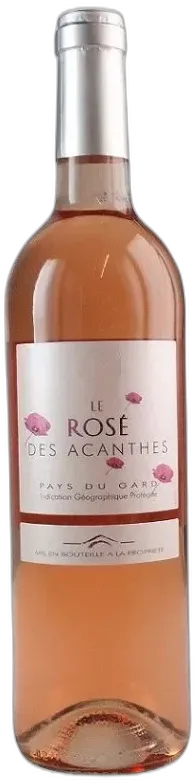 photo le Rose des Acanthes