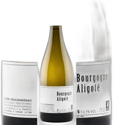 photo Bourgogne Aligoté Champ du Chêne 2021