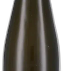photo du vin Riesling 'Schlossberg