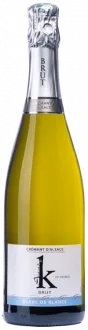 vue du vin Crémant d’Alsace Bio Brut