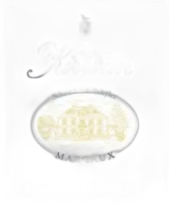 vue du vin Château Kirwan 2024