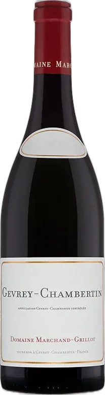 photo Magnum Gevrey Chambertin Village Domaine Marchand-Grillot 2022