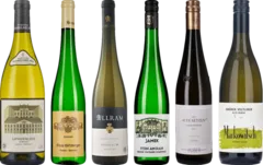 photo Dégustation Premium Gruner Veltliner
