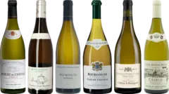 photo Dégustation de Bourgogne Blanc