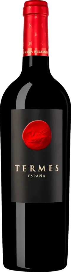 photo Numanthia Termes